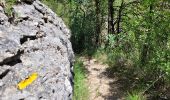 Percorso A piedi Gordes - les gorges de la Véroncle - Photo 18