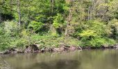Trail Walking Durbuy - barvaux . bohon . durbuy . barvaux  - Photo 10