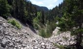 Tour Wandern Châtillon-en-Diois - Cirque d'Archiane - Les Hauts Plateaux du Vercors - Photo 13