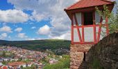 Trail On foot Partenstein - Ortswanderweg Partenstein 4 - Photo 6