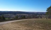 Randonnée Marche Celles-sur-Ource - Les hauts de Celles sur Ource et Neuville sur Seine - Photo 4