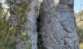 Tocht Stappen Cabrières-d'Avignon - CABRIERE les Avignon - Photo 2