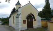 Tour Zu Fuß Bergern im Dunkelsteinerwald - Welterbesteig Wachau Etappe 13 - Photo 7