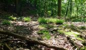 Trail On foot Waldbronn - Busenbach (Bahnhof) - Ittersbach (Gewann Reichenbach) - Photo 1