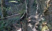 Trail Walking Bertrix - Auby sur Semois 020922 - Photo 18