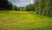 Trail On foot Rauhenebrach - Pfad der Artenvielfalt - Photo 4