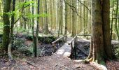 Tour Wandern Weismes - Signal de Botrange, Ovifat & Château de Reinhardstein - Photo 10