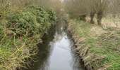 Trail Walking Mont-de-l'Enclus - Mont de l'Enclus - Photo 5