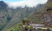 Trail On foot San Sebastián de la Gomera - Ruta 31 - Photo 6