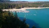 Tocht Stappen La Tour-du-Meix - Lac de vouglans 