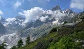 Excursión Senderismo Chamonix-Mont-Blanc - Chamonix : Montenvers-Aiguille du Midi - Photo 15