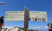 Tour Wandern Bernex - Tour des Memises - Photo 9