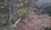 Trail Walking Nances - ballade vers Nances  - Photo 3