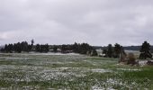 Randonnée Marche Peyre en Aubrac - Aumont Aubrac / Le Py auberge les gentianes  - Photo 3