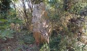 Tour Wandern Plobannalec-Lesconil - GR34  Lesconil. -- Pont l'abbé  - Photo 4