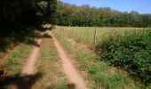 Trail Walking Volvic - Tour des Puys Jumes et Coquille  - Photo 2