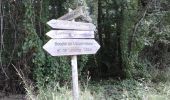 Trail On foot Loupiac - Monprimblanc et Loupiac : boucle locale - Photo 4
