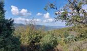 Tour Wandern La Coucourde - La Coucourde : Alpion et Tas de Pierre 6km - Photo 2