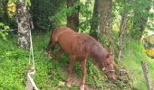 Tour Wandern Saint-Pierre-de-Trivisy - Le Garriguet Saint Pierre de Trivisy - Photo 18