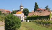 Randonnée Marche Mittelwihr - Les perles du vignoble : Mittelwihr - Beblenheim - Zellenberg - Hunawihr - Riquewihr - Sigolsheim - Photo 9