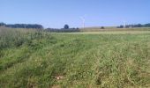 Trail Walking Halen - Loksbergen - Photo 8