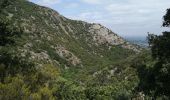 Tour Wandern Laroque-des-Albères - Dolmen - Photo 5