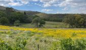 Tour Wandern Argelès-sur-Mer - Mas Cristina: Par les trois mas - Photo 6