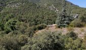 Excursión Senderismo Malaucène - Rand'eau gorges du toulourenc - Photo 10