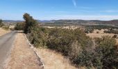 Tour Wandern Saint-Maurice-Navacelles - GRP La Vaquerie - Photo 3