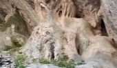 Excursión Senderismo Ollioules -  Les Grottes  St Martin  - Photo 5