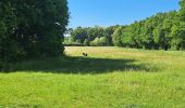 Trail Walking La Ferté-Alais - T-Misery - Photo 9