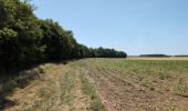 Percorso Marcia Reignac-sur-Indre - Reignac-sur-Indre - Cigogné - 15.6km 120m 4h10 (55mn) - 2025 06 18 - Photo 11