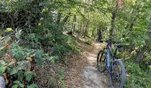 Excursión Bici de montaña Saint-Priest - Saint-Priest Cyclisme sur route - Photo 9