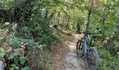 Tocht Mountainbike Saint-Priest - Saint-Priest Cyclisme sur route - Photo 9