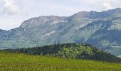 Percorso Marcia Villard-de-Lans - Villard de Lans - Balcons et falaises de la Bourne - panorama  - Photo 4