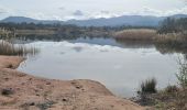 Excursión Senderismo Le Cannet-des-Maures - lac des escarcets - Photo 9