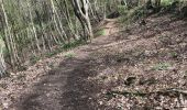 Trail Walking Olne - Boucle de Olne 13 Km - Photo 6