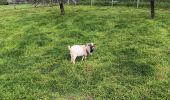 Randonnée Marche Anthisnes - La Rock . bois de Comblain . Sparmont - Photo 1