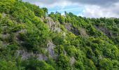 Randonnée Marche Houyet - Houyet - A la découverte de la Lesse et des Aiguilles de Chaleux - Photo 5