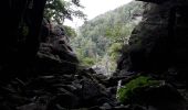 Trail Walking Val-d'Aigoual - cascades orgon - Photo 3