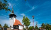 Tocht Te voet Schorfheide - Rundweg Buckowseerinne - Photo 4