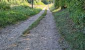 Tocht Stappen Sasnières - Sasnières - Forêt de Prunay - Photo 8