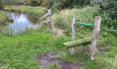 Tour Wandern Pelt - De Wulp Hageven Grote Heide 24 km - Photo 20