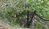 Randonnée Marche Le Lauzet-Ubaye - Le Lauzet - Cabane du Jas - Photo 9