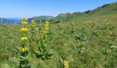 Tour Wandern Le Falgoux - Franconèche- Gr400-chemin des Italiens bis - Photo 19