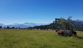 Trail Nordic walking Lans-en-Vercors - Le Vertige des Cimes en Marche Nordique - Photo 2