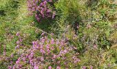 Tour Wandern Larrau - iraty pic des escaliers - Photo 2