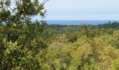 Excursión Senderismo Seignosse - les Landes  - Photo 6