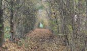 Excursión Senderismo Blegny - Bois de Melen  - Photo 1