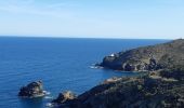 Tocht Stappen Cadaqués - cadaques . sa planassa . far de cala nans . cadaques  - Photo 4